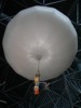 Vega Venus balloon